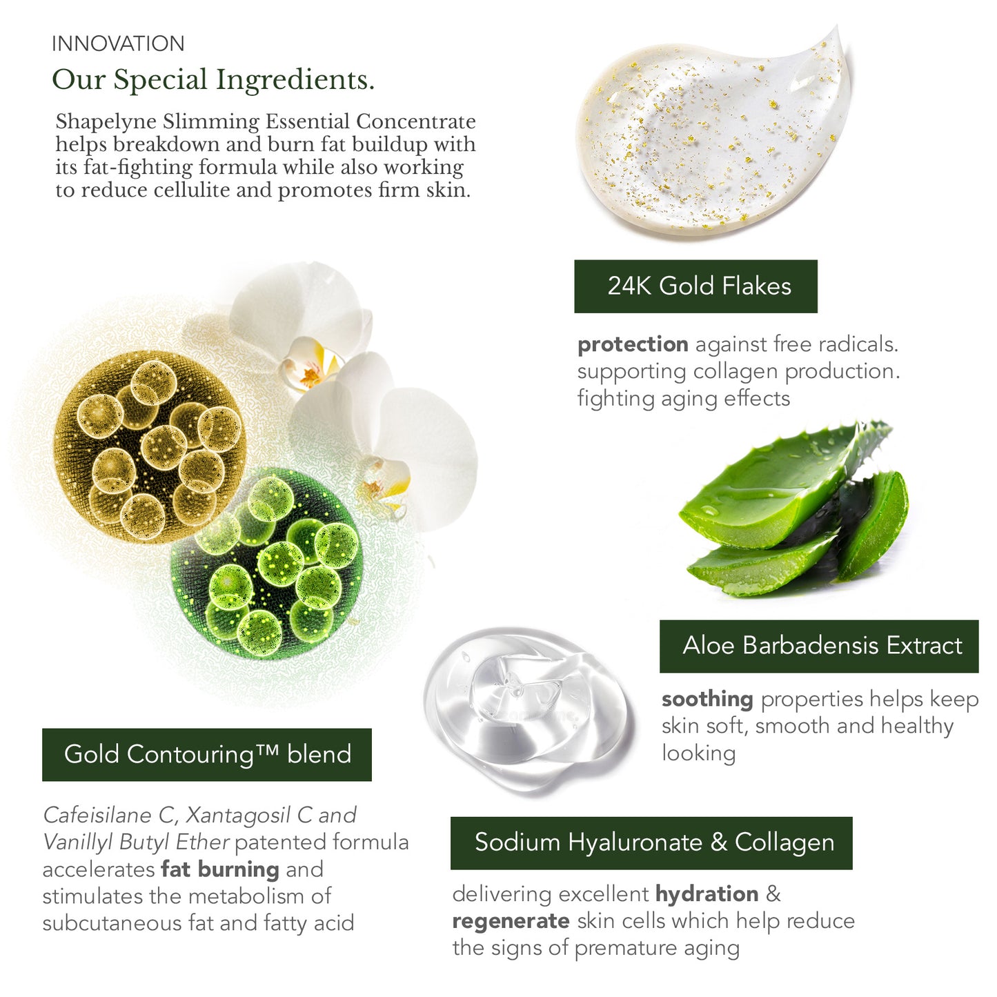 Shapelyne Slimming Gel Ingredients